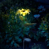 Lampă solară floarea soarelui- 75 cm - 8 LED alb cald